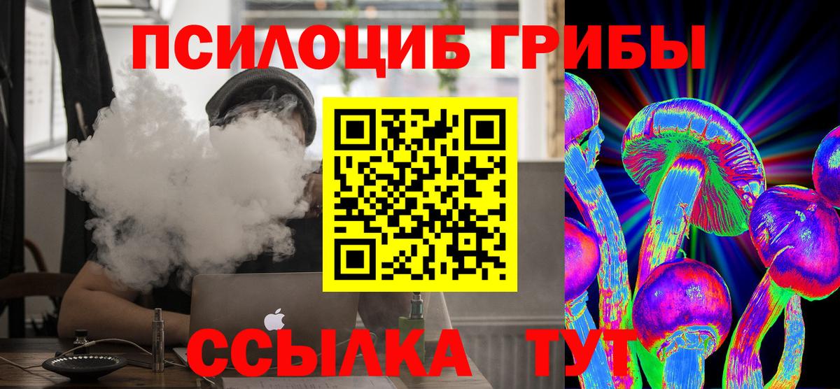 Галлюциногенные грибы Cubensis  Вход с VPN  Еманжелинск 